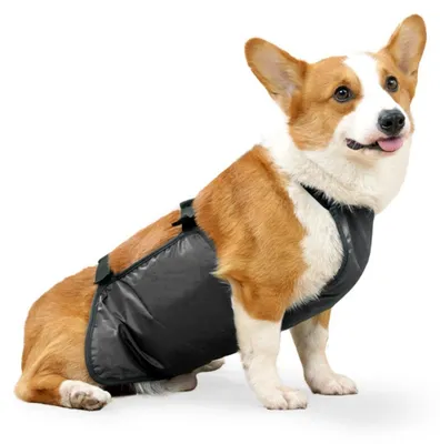 Immagine prodotto di INF Fascia Addominale per Cani M e L, Poliestere Impermeabile Traspirante L