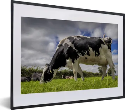 Produktbild von MuchoWow® MuchoWow® Gerahmtes Poster Kuh - Gras - Schwanz - Tiere 40x30 cm - Poster mit zchwarzem Bilderrahmen - Bilderrahmen - Poster im Rahmen