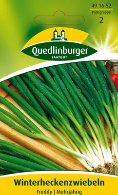 Produktbild von Quedlinburger Saatgut - Winterhecken-Zwiebeln Freddy - Samen - 491652