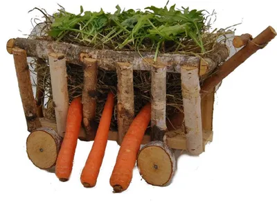 Produktbild von XXL Naturholz Birke Futter und Heuraufe für Meerschweinchen und Kaninchen