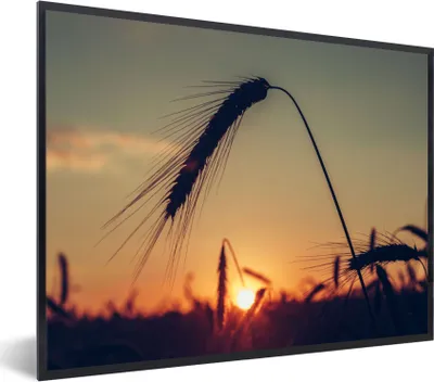 Produktbild von MuchoWow® Gerahmtes Poster Gras - Herbst - Sonnenuntergang - Jahreszeiten - Landschaft 80x60 cm - Poster mit Schwarzem Bilderrahmen Wandposter Rahmen Foto Bilder - Schwarzem - Mit Gestell