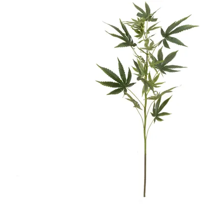 Obrázek produktu pro Europalms Hanfzweig künstlich 90cm 82506699