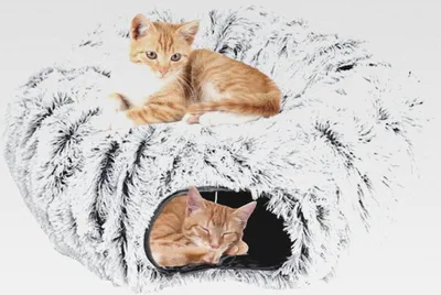 Produktbild von Plüsch Katzentunnel, Katzenbett für Indoor Katzen, Katzentunnel XXL Große Katzen mit Schlafplatz, Rascheltunnel für Katzen, Katzen Tunnel XXL Ultra weiche Runde Donut Form,Katzenspielzeug Grau