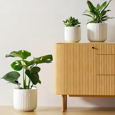 Zdjęcie produktu dla Zestaw 3 doniczek ceramicznych, matowej bieli, o wymiarach 21 cm, 17 cm i 14 cm, z otworami drenażowymi