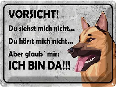 Produktbild von vianmo Blechschild 30x40 cm Vorsicht Hund Du siehst mich nicht Warnschild Hinweisschild Sicherheit