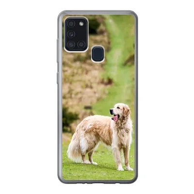 Produktbild von MuchoWow® Handyhülle Schutzhülle Hülle für Samsung Galaxy A21s Schönes Bild eines Golden Retrievers Silikon Softcase Handy Hülle - Hartschale