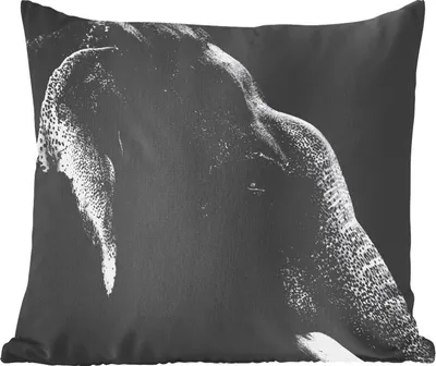 Produktbild von MuchoWow® Zierkissen Sofakissen Wohnzimmer Dekokissen 45x45 cm Elefant auf schwarzem Hintergrund in schwarz und weiß - Schlafpolster - Polster für das Sofa