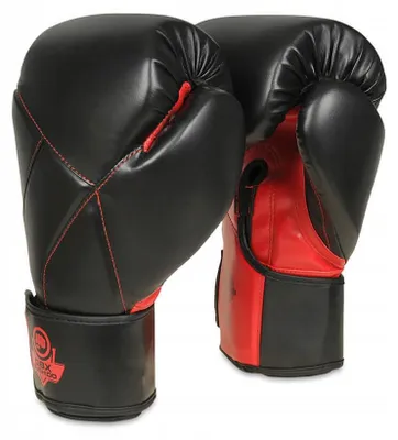 Produktbild von BUSHIDO B-2v15 Sparing Boxhandschuhe 10oz