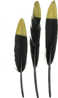 Produktbild von Deko Bastelfedern Schwarz Gold 12-14cm 72 Stück Karneval Schmuck Dekoration