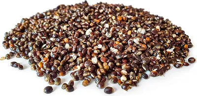 Produktbild von Hanfsamen Angelfertig 5KG | Karpfen futter