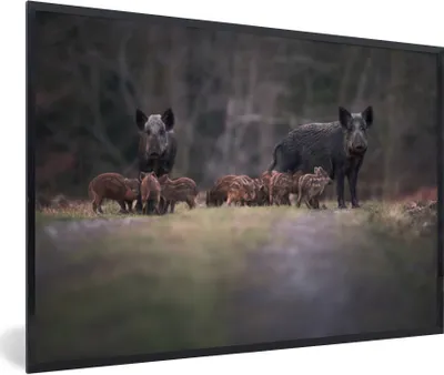 Produktbild von MuchoWow® Gerahmtes Poster Tier - Wildschwein - Wald 90x60 cm - Poster mit Schwarzem Bilderrahmen Wandposter Rahmen Foto Bilder - Fotorahmen - Foto-Plakat