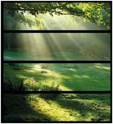 Produktbild von Wallario Möbelfolie / Aufkleber, geeignet für Ikea Malm Kommode mit 4 Schubfächern - Sonnenstrahlen im Wald