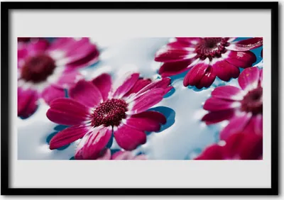 Produktbild von Bild 70x50 MDF-Rahmen Wandkunst Blumen auf dem Wasser Natur
