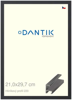 Obrázek produktu pro DANTIK rámeček 21x29,7 | ALU profil 6220 Černá matná (Sklo Čiré)