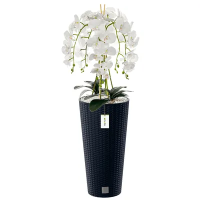 Produktbild von Künstliche Orchidee Kaskaden Blumenstrauß Weiß im Topf Anthrazit H 110 cm Heimbüro Dekoration, Kunstpflanze Orchidee, Kunstblume, Künstliche Orchidee im Topf
