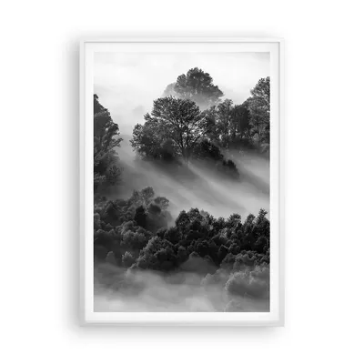Produktbild von Gerahmtes Poster - Weißer Rahmen - Schwarzweiß Bäume Nebel - 70x100 cm - Wand Bild - Wanddeko - Wandbilder - Kunstposter - Wandposter - Bilderrahmen - Bilder - Kunstdruck - P2WPA70x100-4510