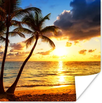 Produktbild von MuchoWow® Poster Strand - Horizont - Sonnenuntergang - Palme - Meer 75x75 cm - Wand Dekoration