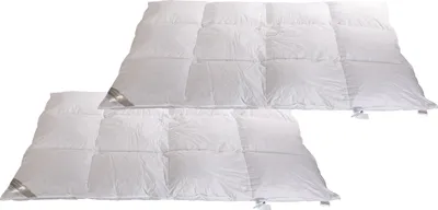 Produktbild von 2 Stück 8 cm Hochsteg Winter Daunenbetten 3x4 1700 g Bettdecken 155x220 superwarm