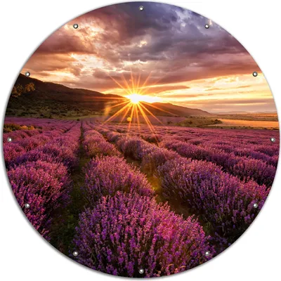 Produktbild von Wallario rundes Outdoor-Poster für Garten oder Balkon, Motiv Lavendelfeld bei Sonnenuntergang - Sonnenstrahlen, 120 cm Durchmesser