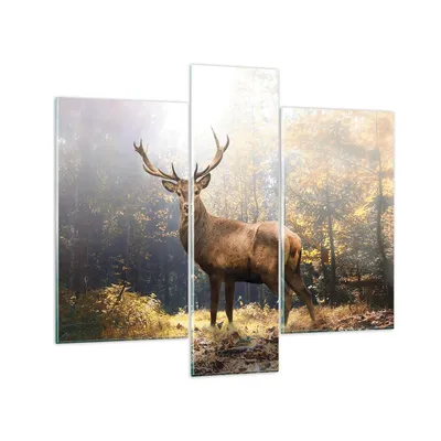 Produktbild von Bilder auf glas - 3 Teile - Licht Hirsch Wald - 95x80cm - Glasbilder - Wandbilder - Bilder - zum Aufhängen bereit - Wanddekoration aus Glas - Glas Bilder - Wandbild auf Glas - GCB95x80-4452
