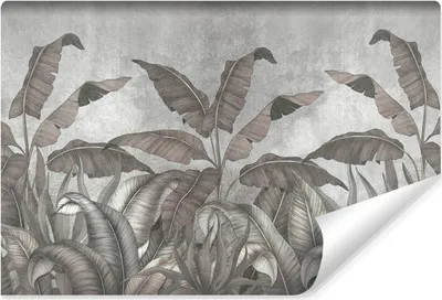 Produktbild von Muralo Selbstklebende Fototapete BANANENBLÄTTER tropische Pflanzen Beton Retro Stil Br. 152.5cm x Hö. 104cm