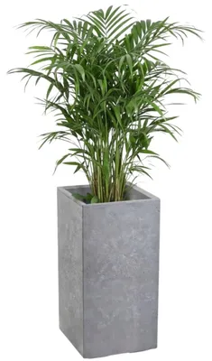 Produktbild von HowHomely | Pflanzentopf - Blumenkübel - Blumentopf - grau - 30 x 30 x 60 cm - Betonstruktur - Praktisch