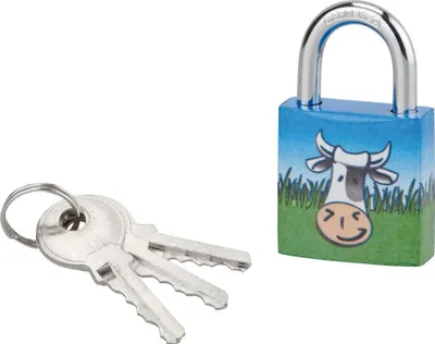 Image de Cadenas à clé Chtiote Meuh 7, acier, intérieur, anse acier, 30mm, 3 clés - THIRARD