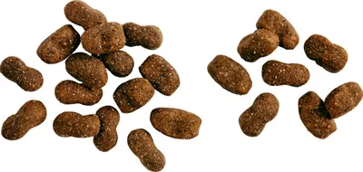A pile of dog food kibble on a white background.