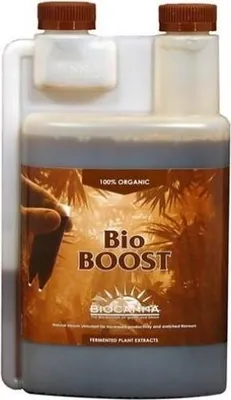 Produktbild von Biocanna Boost 250 ml