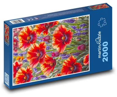 Obrázek produktu pro martinpuzzle - Puzzle 2000 - Kvetoucí máky