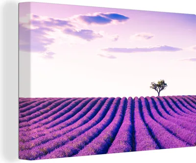 Produktbild von OneMillionCanvasses® - Leinwandbilder - 140x90 cm, Lavendel - Bäume - Lila - Blumen, Wandbilder Kunstdruck Wanddekoration - Foto auf Leinwand - Gemälde auf Holzrahmen