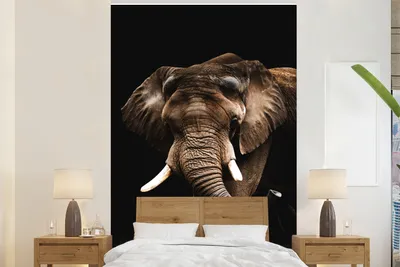Produktbild von MuchoWow® Fototapete für Wohnzimmer oder Schlafzimmer Wandtapete Vinyl Motivtapete Elefant - Schwarz - Tiere - 160x240 cm - Vinyltapete