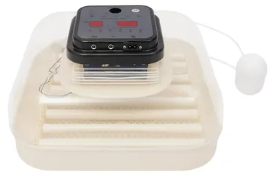 Immagine prodotto di Incubatrice / Incubatrice per uova - 35 uova - Ribaltamento automatico - Regolazione di temperatura e umidità - Per galline, anatre, oche, quaglie