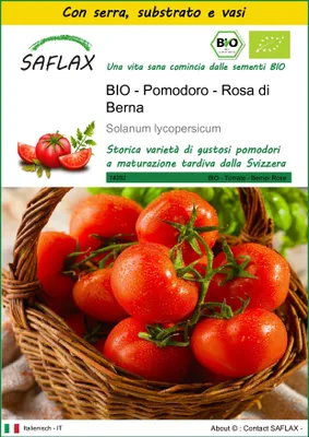 Immagine prodotto di SAFLAX Insieme di coltivazione -- Pomodoro - Rosa di Berna - 10 semi - Solanum