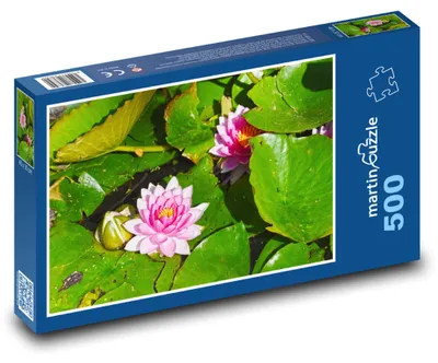 Obrázek produktu pro martinpuzzle - Puzzle 500 - Lekníny