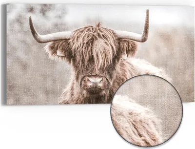 Produktbild von DEQORI Hybrid Leinwand Bild 60x30 cm 'Majestätische Stille' Wandbild Glas flach modern