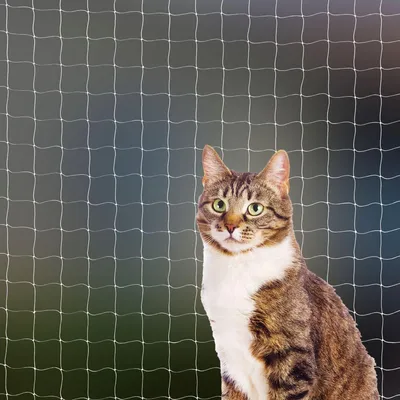 Produktbild von Katzen Sicherheitsnetz, Katzennetz für Balkon 8x3 m weiß