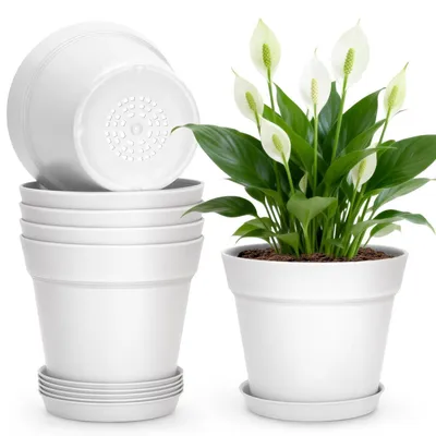 Obrázok produktu pre Kvetináče s podstavcami, 6 kusov, 15 cm, biela farba, plast, vhodné na kaktusy a bylinky