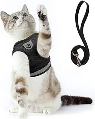 Productafbeelding van Kattenharnes met tuigje, uitbraakwerend, maat S, zwart