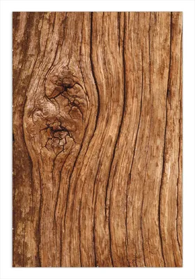 Produktbild von Wallario Wandbild Holzstamm mit Asteinschluss, Größe: 61 x 91,5 cm, Poster mit rahmenlosen Bildhalter