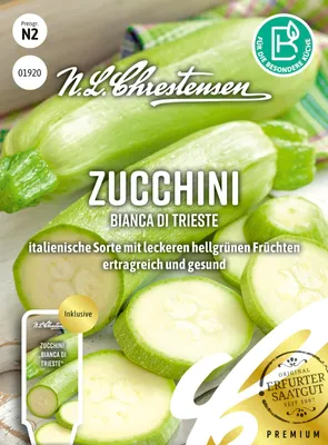 Produktbild von Zucchini Bianca di Trieste | Zucchinisamen von N.L. Chrestensen