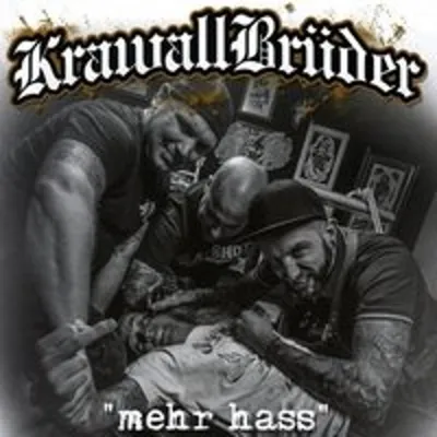 Obrázek produktu pro Riot brothers - více nenávisti