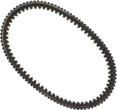 Immagine prodotto di Cinghia trasmissione DAYCO XTX2217