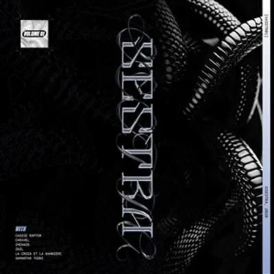 Obrázok produktu pre Various Artists - VASSTR01 - Volume 1 (LP)