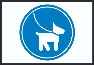 Produktbild von Hunde bitte anleinen Symbol Schild A1 Rückseite selbstklebend