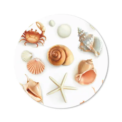 Produktbild von MuchoWow® Mauspad Mousepad Muscheln - Meerestiere - Collage 40x40 cm - Mousepads - Maus Mat - Pad - Mausunterlage - Schreibtisch Accessoires