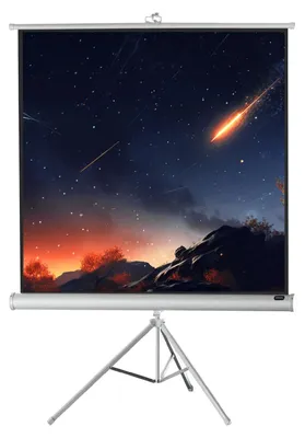 Produktbild von celexon Stativleinwand Economy 133 x 133 cm - White Edition