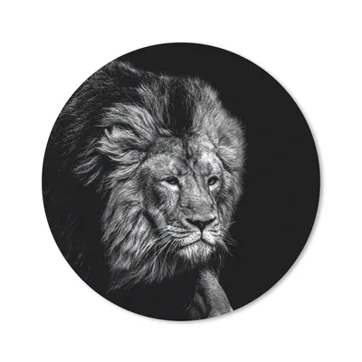 Produktbild von MuchoWow® Mauspad Mousepad Löwe - Tiere - Schwarz - Weiß 40x40 cm - Mousepads - Maus Mat - Pad - Mausunterlage - Schreibtisch Accessoires