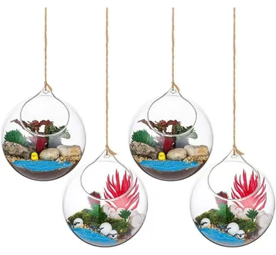 Productafbeelding van Set van 4 hangende glazen bolvormige vazen, diameter 12 cm, helder glas, geschikt voor vetplanten en luchtplanten