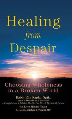 Produktbild von Healing from Despair